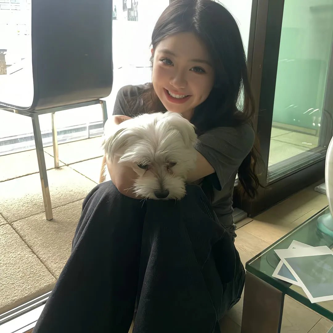 远方的狗吠声